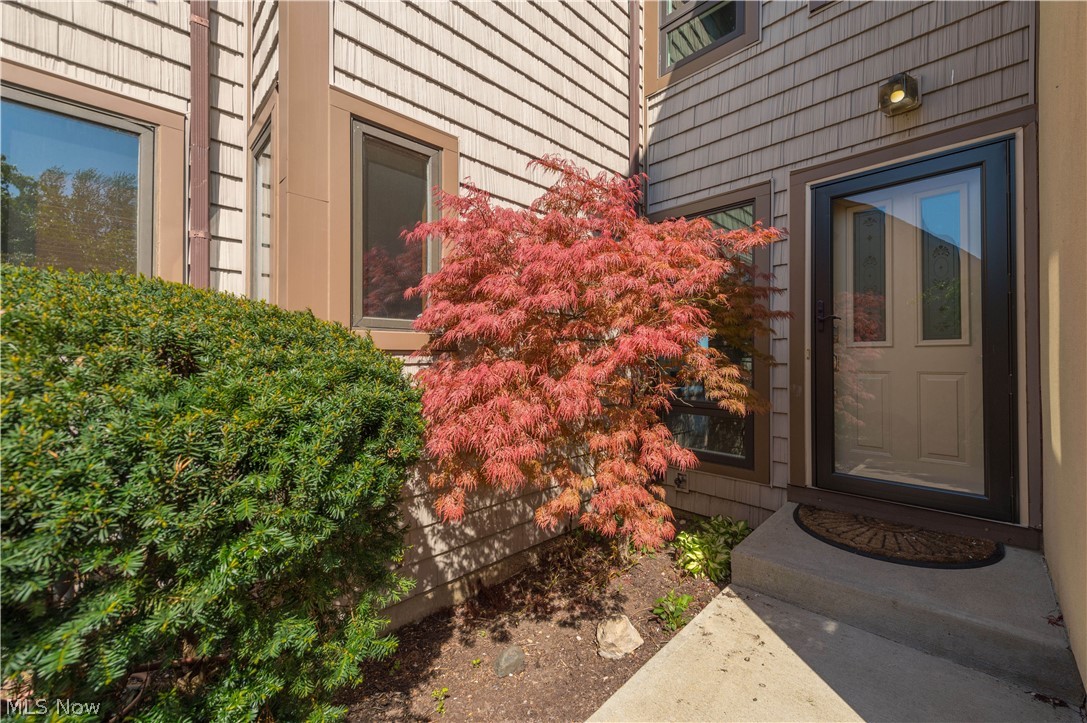 4607 Compass Rose 13