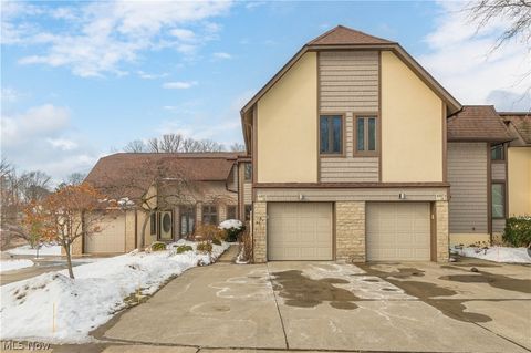 Photo of 4607 Compass Rose #13, Vermilion, OH 44089 (MLS # 5186100)