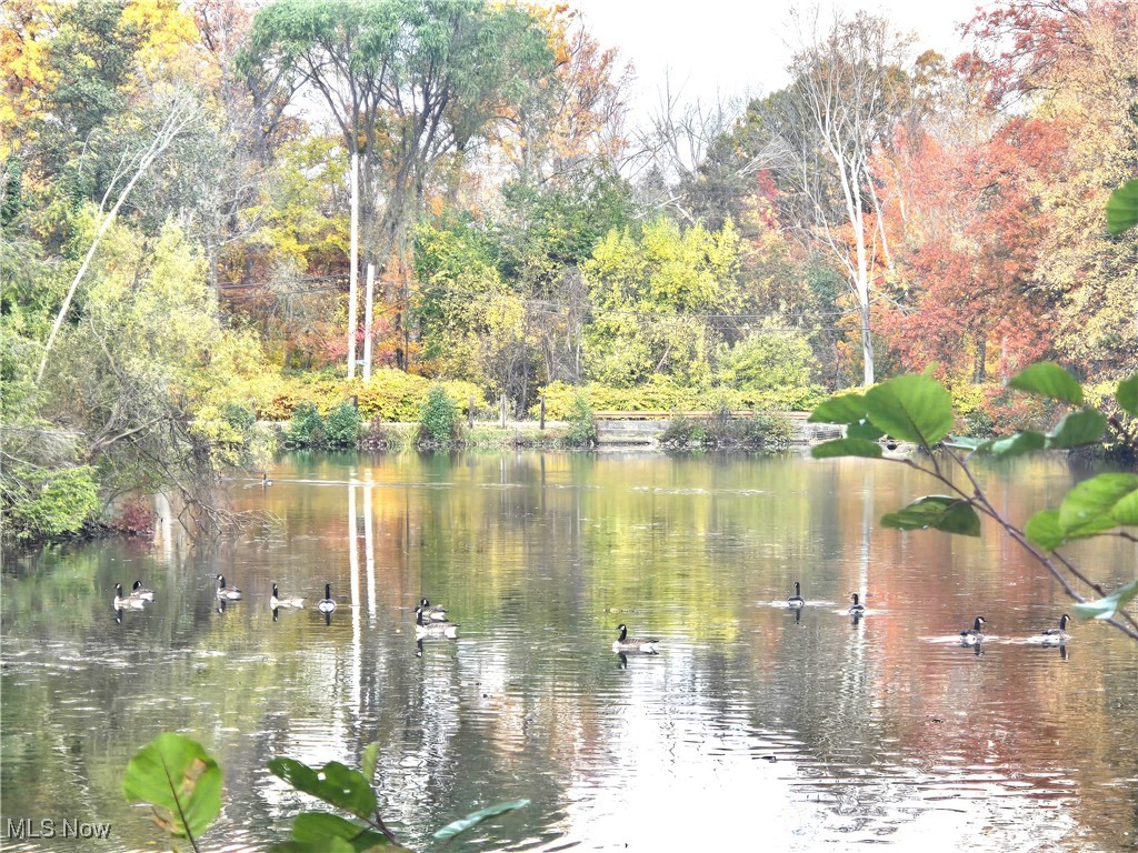 Palmetto Beach Allotment - Residential