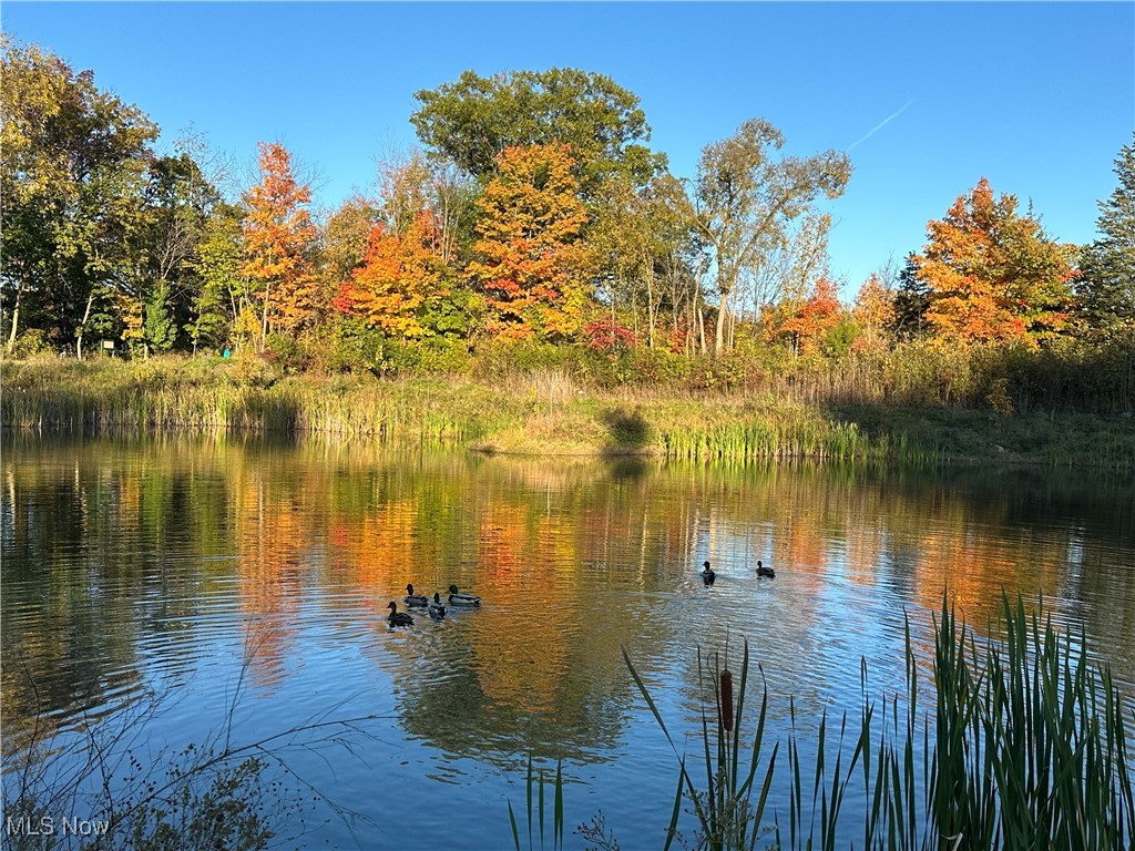 Russia - Residential
