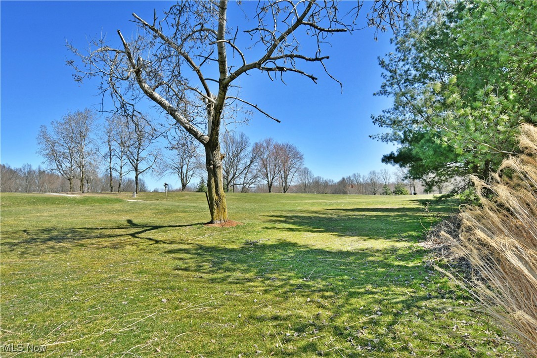 117 Fairway Place, Warren, Ohio image 47