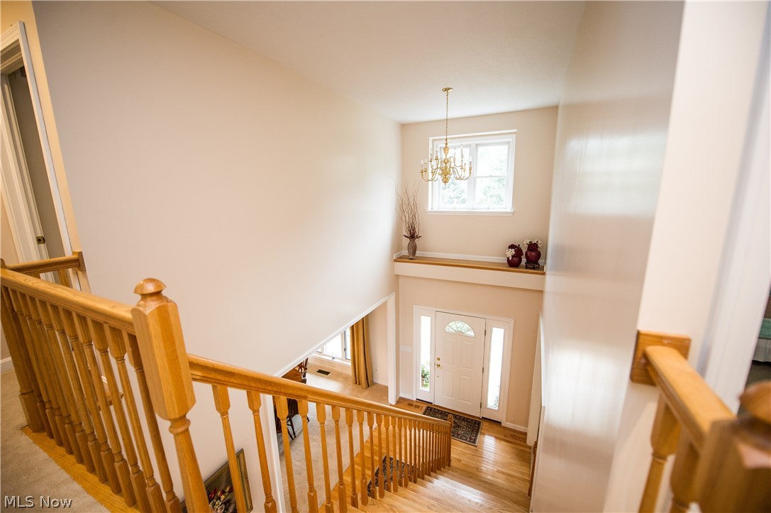 Meadow Wood - Residential