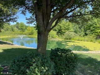 Willow Brk Amd Condo-1s - Residential