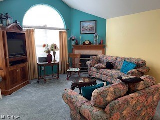 Willow Brk Amd Condo-1s - Residential