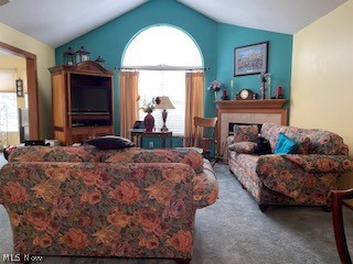 Willow Brk Amd Condo-1s - Residential