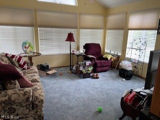 Willow Brk Amd Condo-1s - Residential