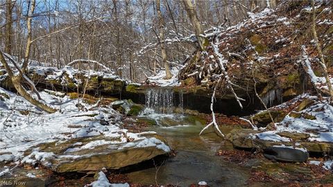 Vacant Land For Sale - Twp Rd 366<br/> Marietta, OH 45773