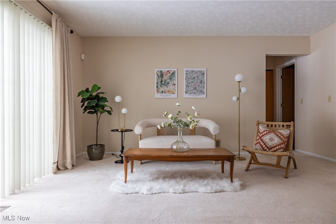 Chaunticlair V Condo - Residential