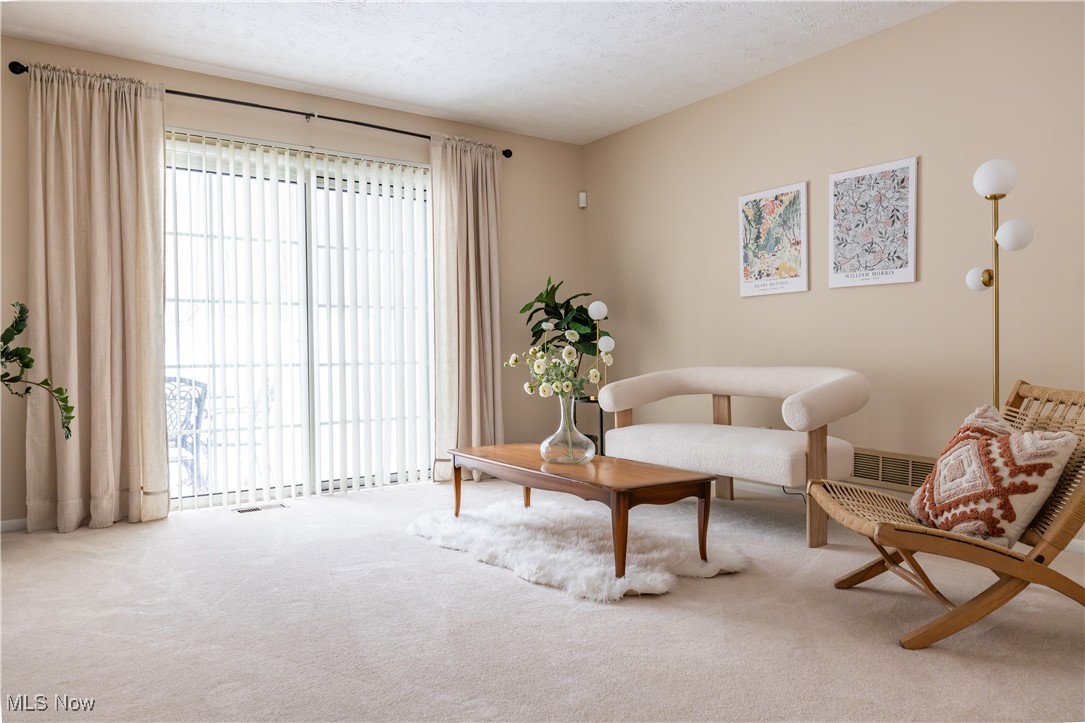 Chaunticlair V Condo - Residential