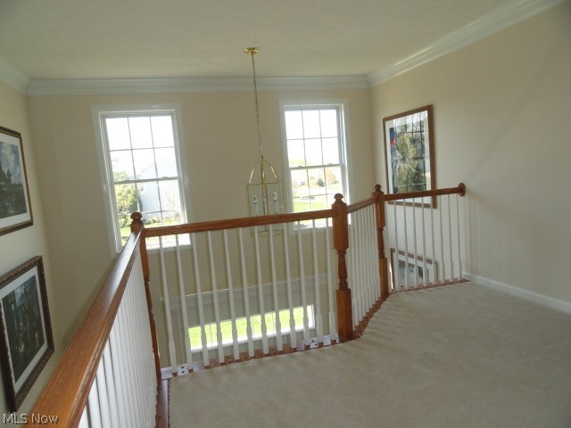 Springbrook Reserve 01 - Residential