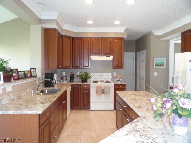 Springbrook Reserve 01 - Residential