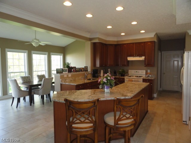 Springbrook Reserve 01 - Residential