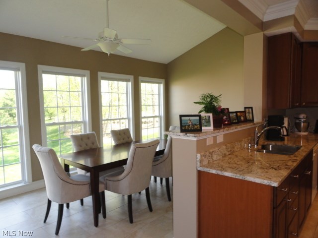 Springbrook Reserve 01 - Residential