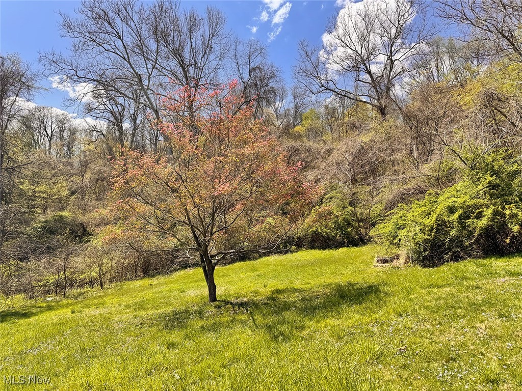 564 Jewett Road, Steubenville, Ohio image 6