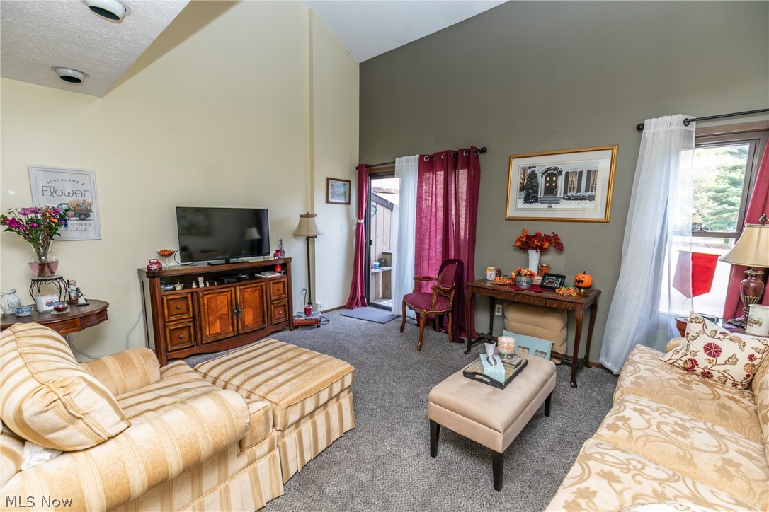 Trail View Terrace Condo - Residential