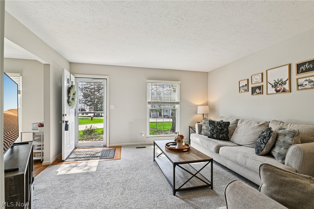 Brook Point Village II Condo - Residential