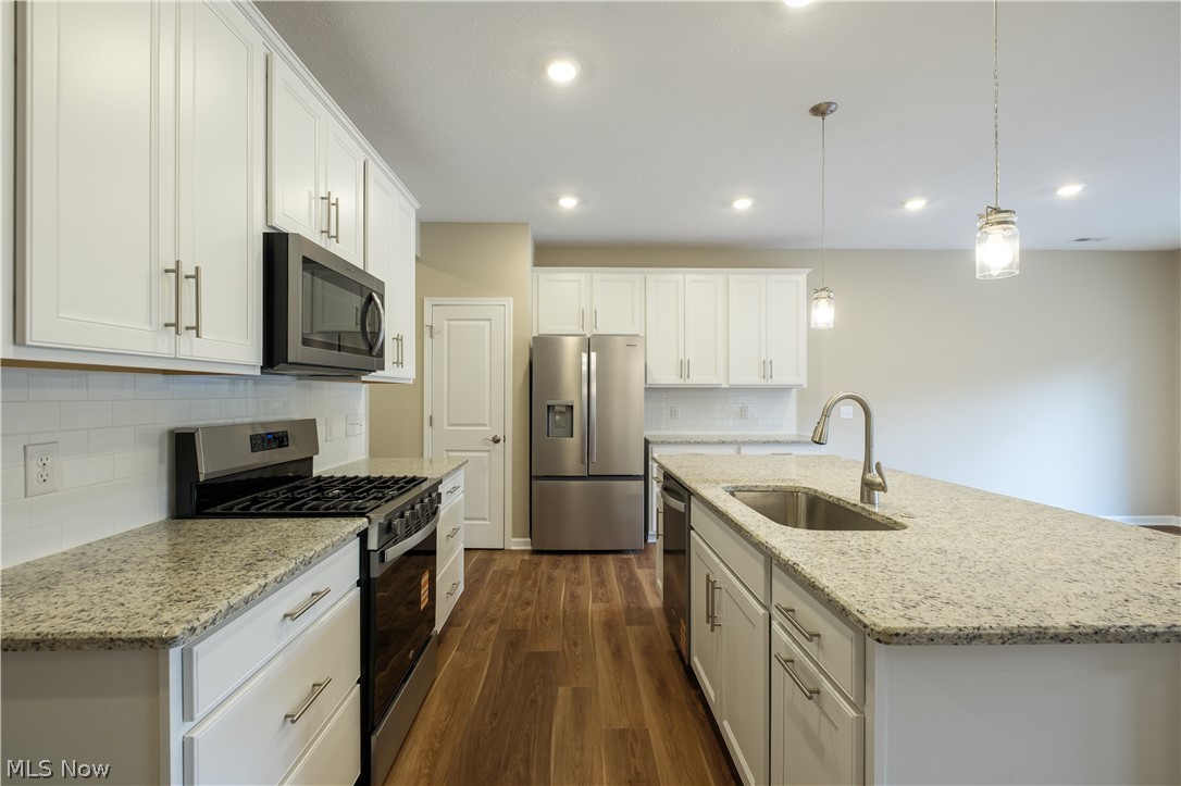 Renaissance Park at Geauga Lake - Residential