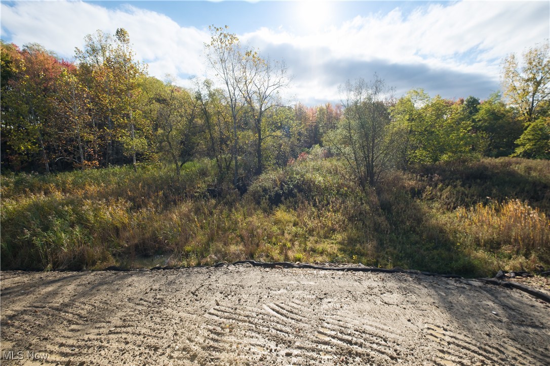 Renaissance Park at Geauga Lake - Residential