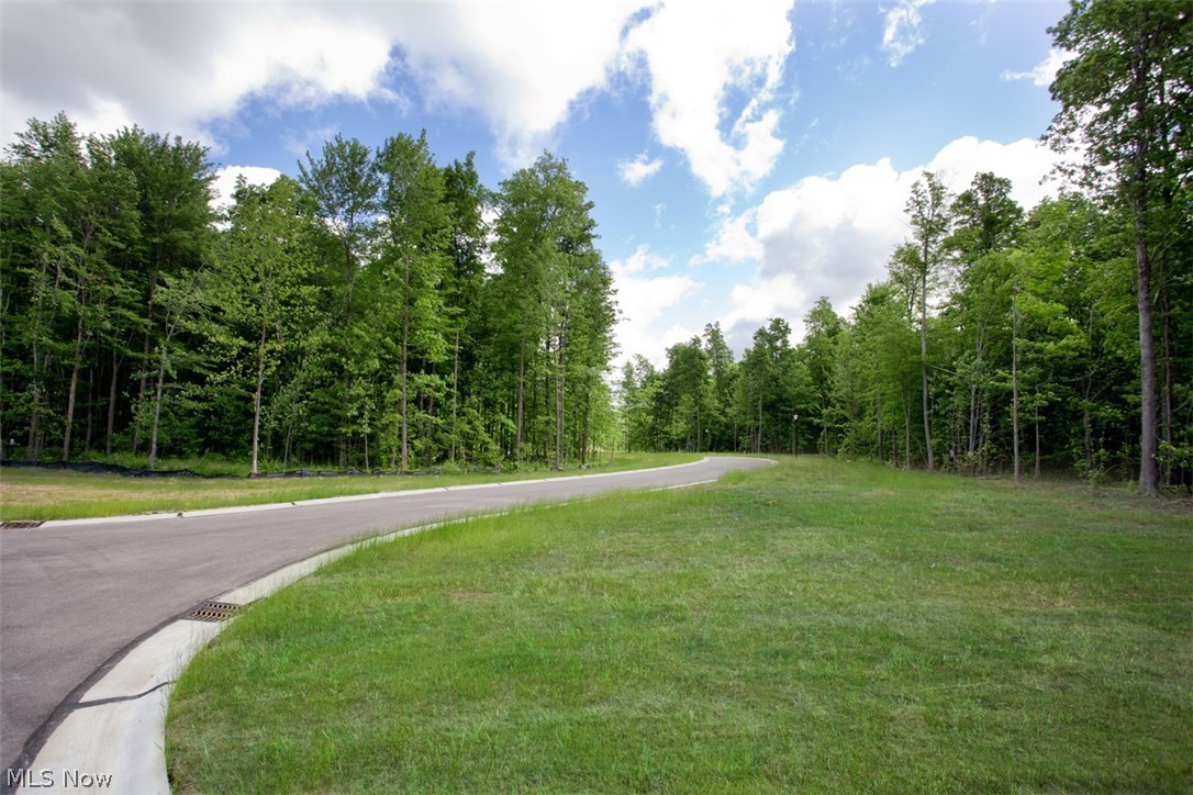 Orchard Springs - Residential