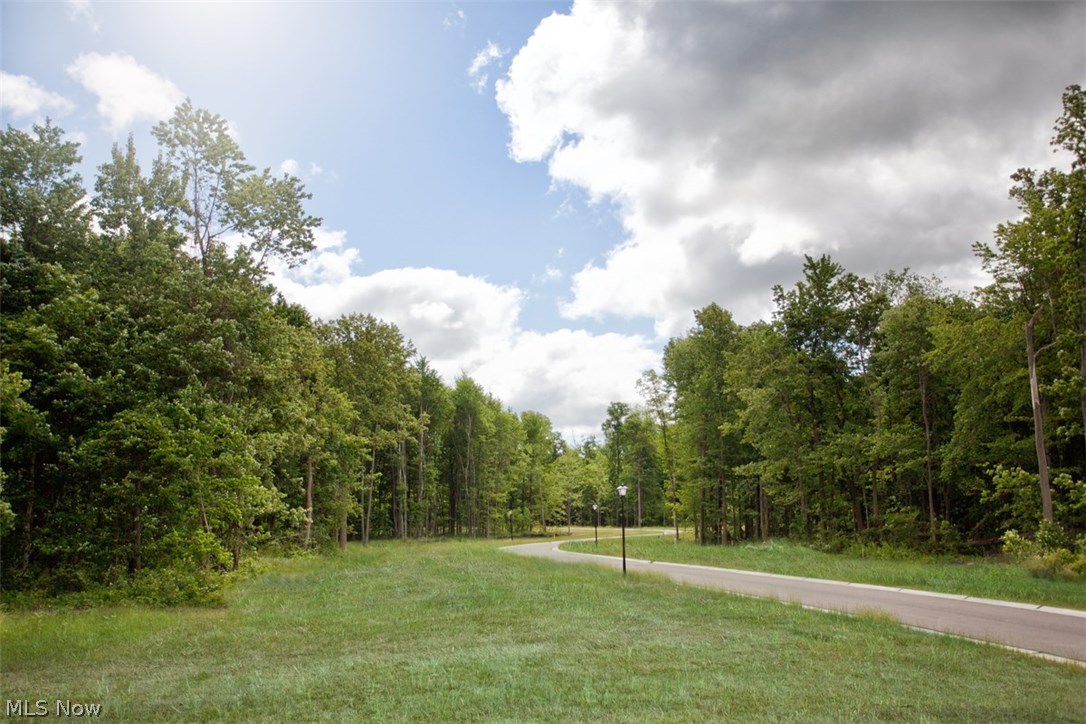 Orchard Springs - Residential