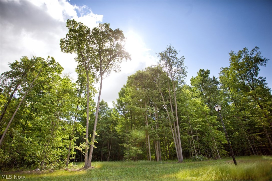 Orchard Springs - Residential
