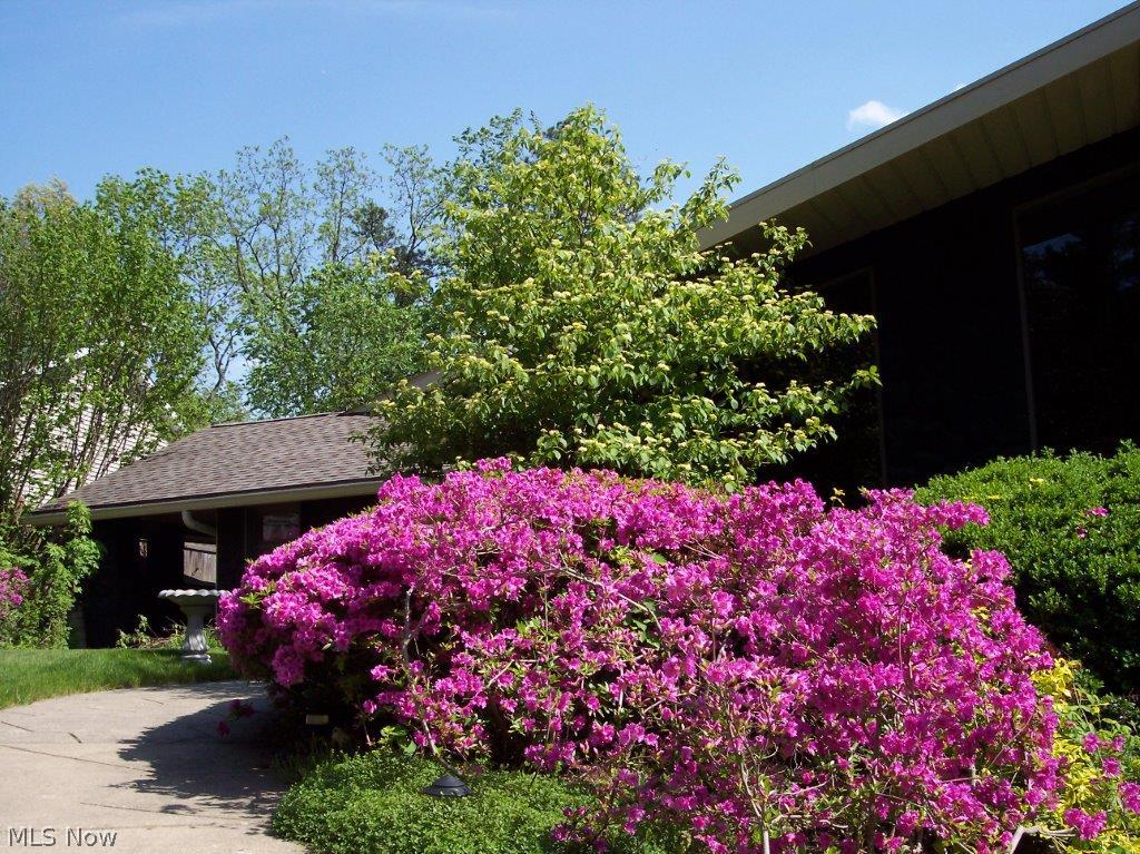 Lake Breeze - Residential