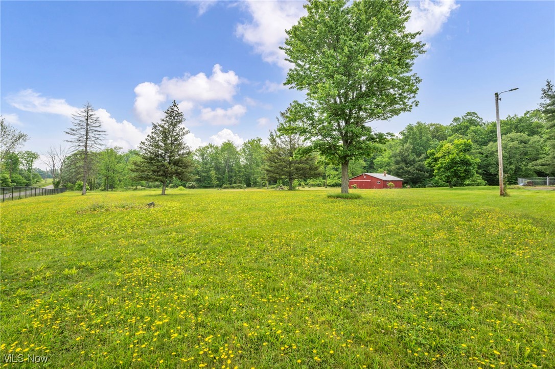 11124 Old Mill Road, Spencer, Ohio image 37