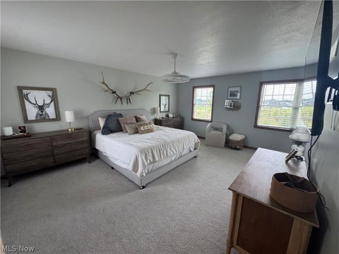 Tiny photo for 4201 W Candy Apple Court, New Middletown, OH 44442 (MLS # 5240856)