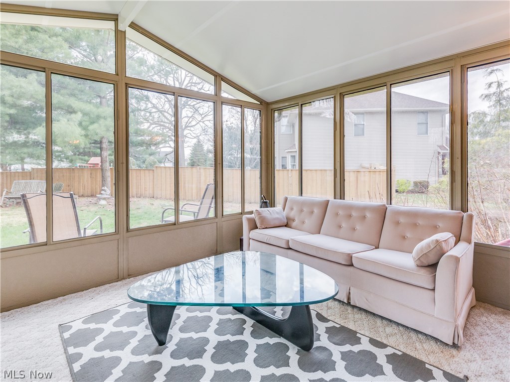 Steeple Chase - Residential