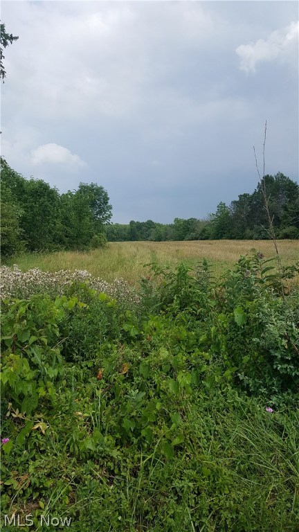 Beautiful buildable 5 acre lot that is cleared. Located in Grafton TWP. Amenities include water, electric, cable, internet and septic can be installed must make application with the health department. Do not pass this opportunity up bring your builder today!