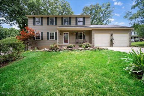 10235 Log Cabin Court, Brecksville, OH 44141 - #: 5100639