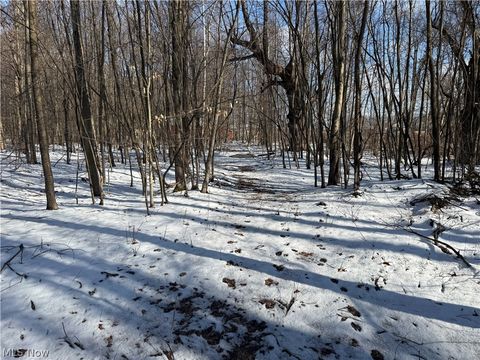 Tiny photo for 3117 Sweet Road, Conneaut, OH 44030 (MLS # 5203096)