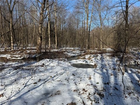 Tiny photo for 3117 Sweet Road, Conneaut, OH 44030 (MLS # 5203096)