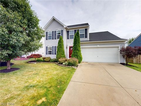 Homes For Sale - 231 S Settlers Lane<br/> Painesville, OH 44077