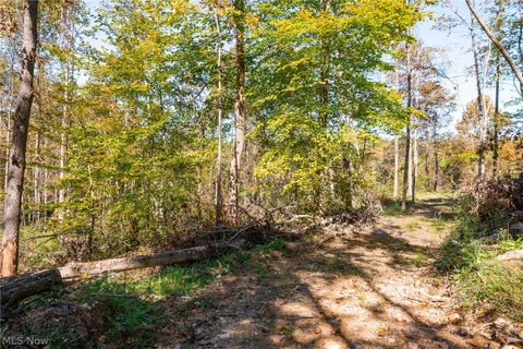 Tiny photo for Keithtown Road, Caldwell, OH 43724 (MLS # 5251919)