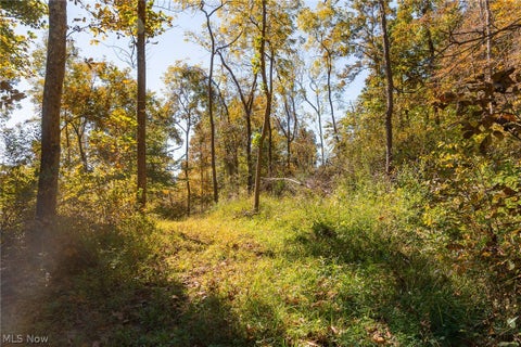 Tiny photo for Keithtown Road, Caldwell, OH 43724 (MLS # 5251919)
