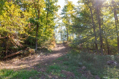 Tiny photo for Keithtown Road, Caldwell, OH 43724 (MLS # 5251919)