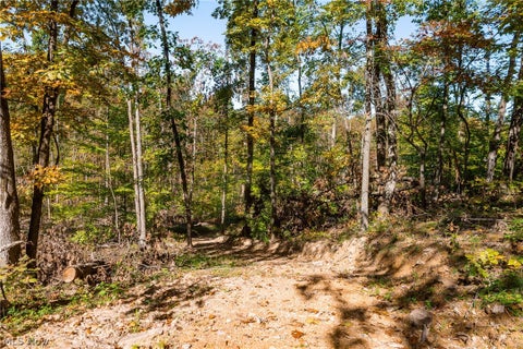 Tiny photo for Keithtown Road, Caldwell, OH 43724 (MLS # 5251919)