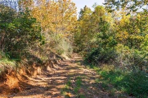 Tiny photo for Keithtown Road, Caldwell, OH 43724 (MLS # 5251919)