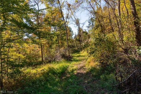 Tiny photo for Keithtown Road, Caldwell, OH 43724 (MLS # 5251919)