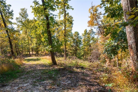 Tiny photo for Keithtown Road, Caldwell, OH 43724 (MLS # 5251919)