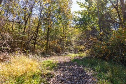 Tiny photo for Keithtown Road, Caldwell, OH 43724 (MLS # 5251919)