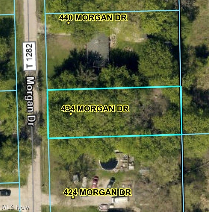 434 Morgan Drive