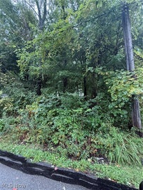 434 Morgan Drive Painesville Twp OH 44077