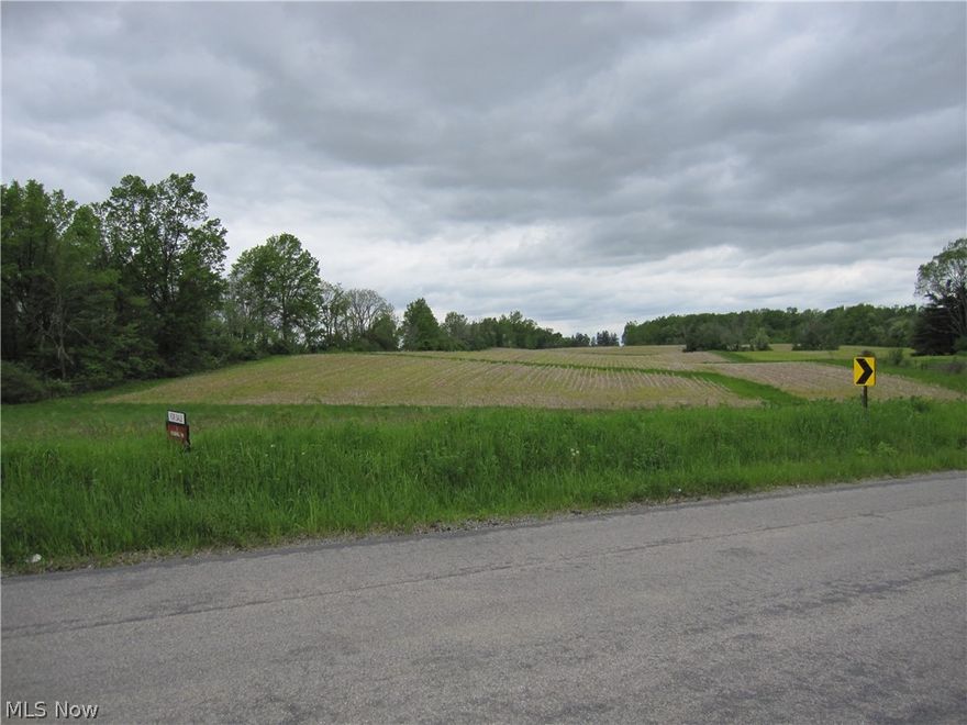 Great opportunity to own 30 acres of land to farm or build a home on or both.  You can farm the land or use it to build a home or create your own mini farm or some kind of recreation.  Possibilities are endless.  This 30 acres has been used as farm land for many years.  There is a little bit of woodland on the edges which you can see in the photos and lots of ground for whatever you would like to use it for.  Also close to I71.  Call for an appointment today to check out this 30 acres of land.