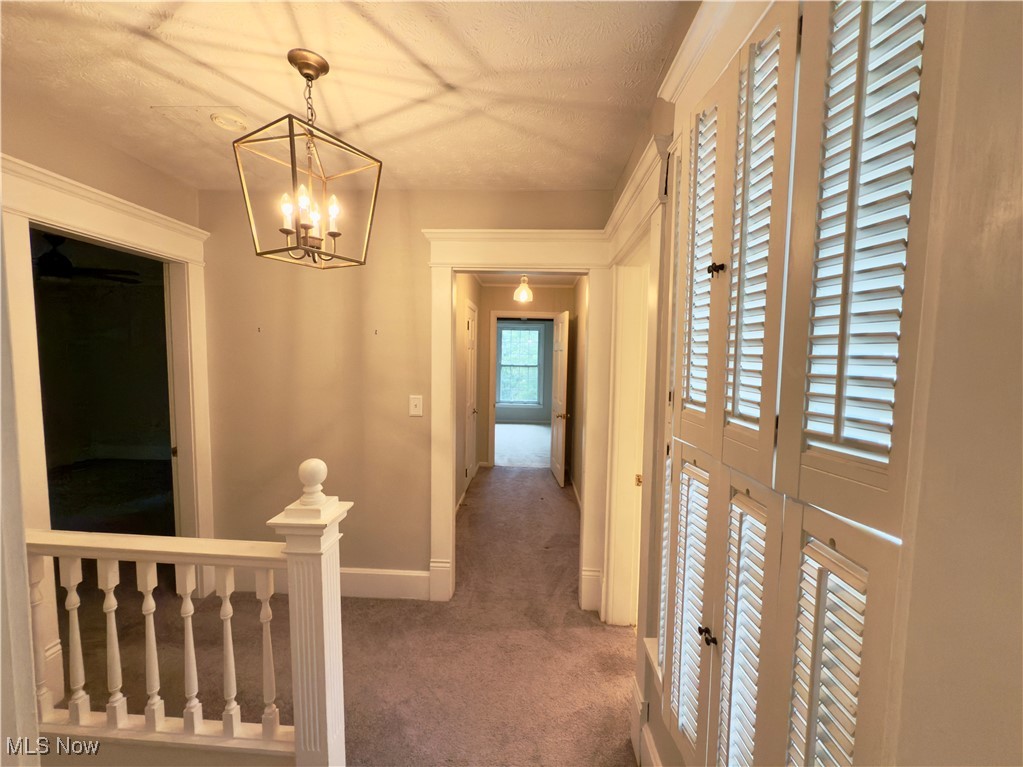 Waltons Add 03 - Residential