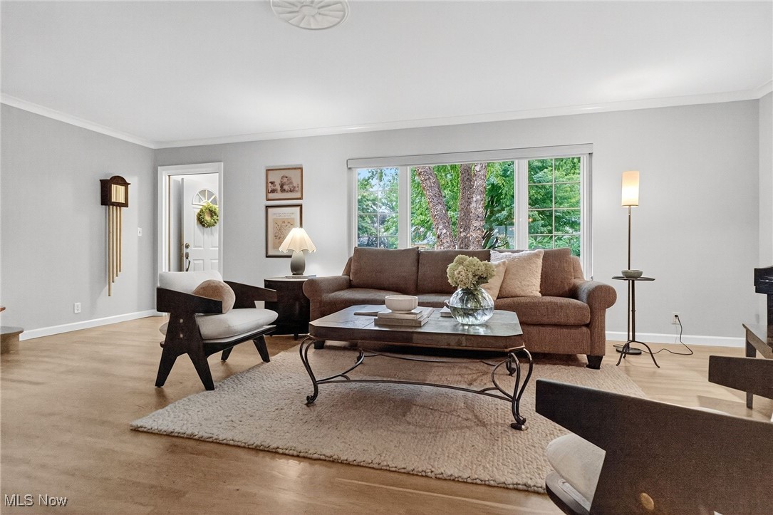 Melrose - Residential