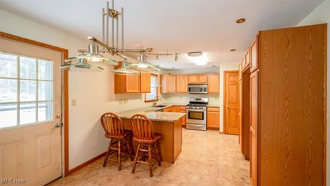 Tiny photo for 3794 Monaca Avenue, Youngstown, OH 44511 (MLS # 5179901)