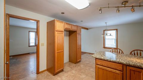 Tiny photo for 3794 Monaca Avenue, Youngstown, OH 44511 (MLS # 5179901)