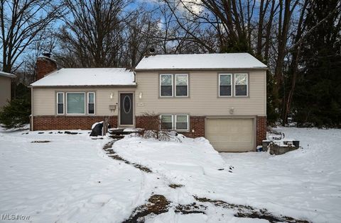 Photo of 3794 Monaca Avenue, Youngstown, OH 44511 (MLS # 5179901)